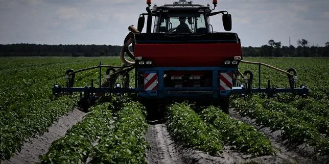 Biodiversité : la France présente un plan de restauration de la nature sans ambition et sous-financé