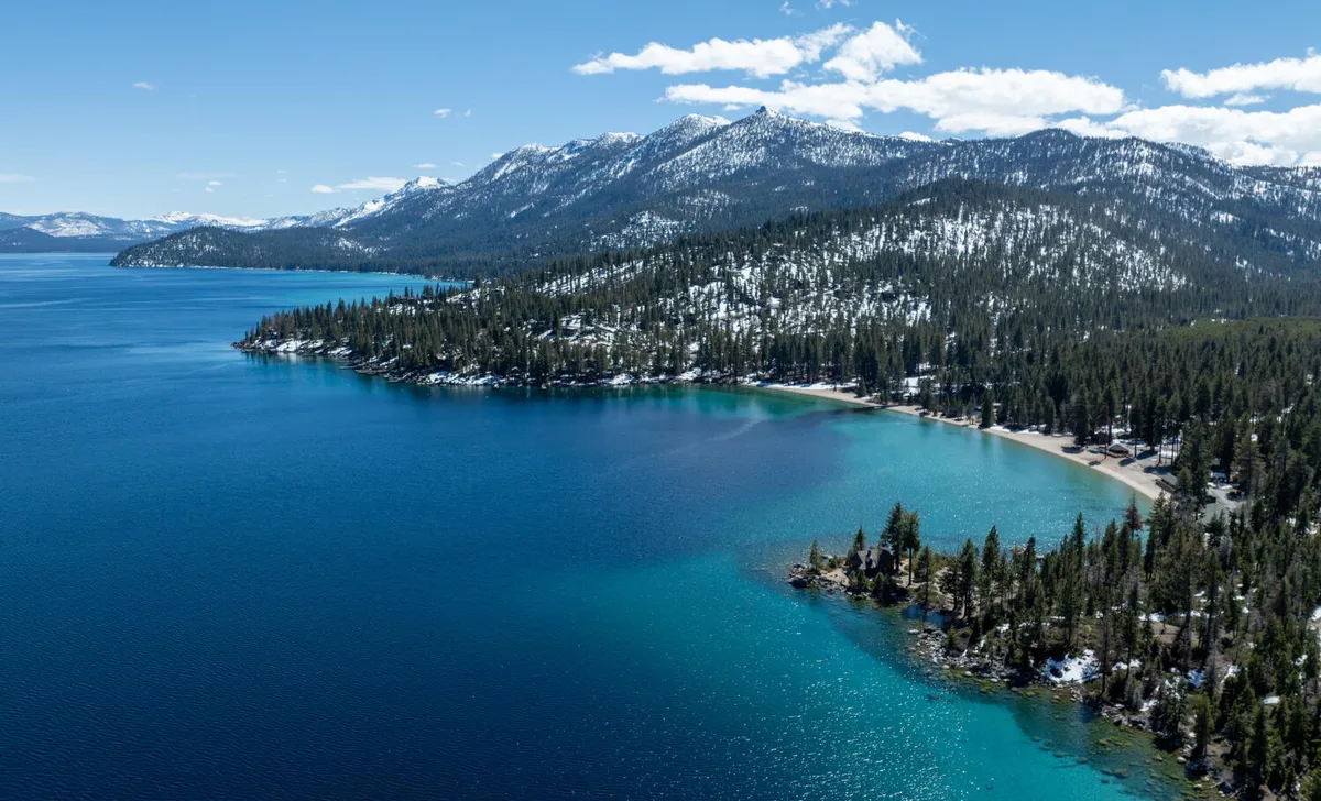Woman attacked by sea otter at Lake Tahoe was bruised, bloodied but sure one skill saved her