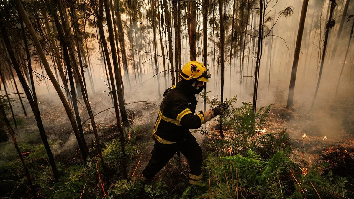 Quase 100 operacionais combatem fogo no concelho de Beja