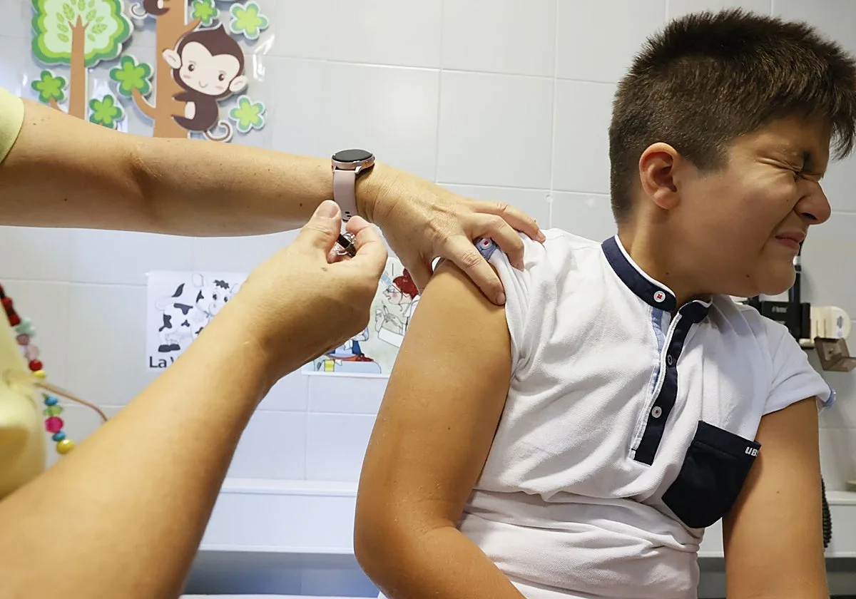 Expertos gallegos alertan del riesgo de reaparición de patologías por bulos 'antivacunas'