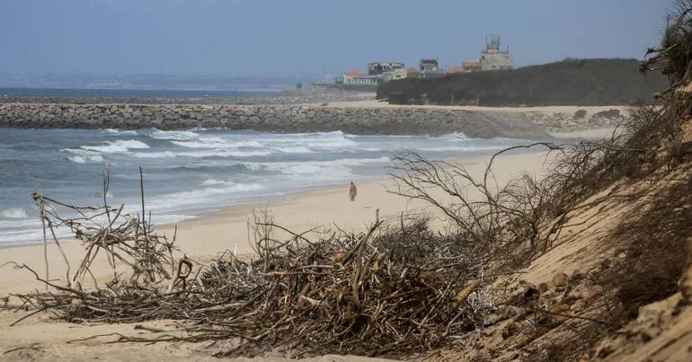 Quatro praias de Espinho com banhos desaconselhados