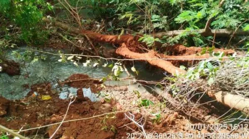 Mau cheiro e morte de peixes levam MP a apurar poluição no Córrego Imbirussu