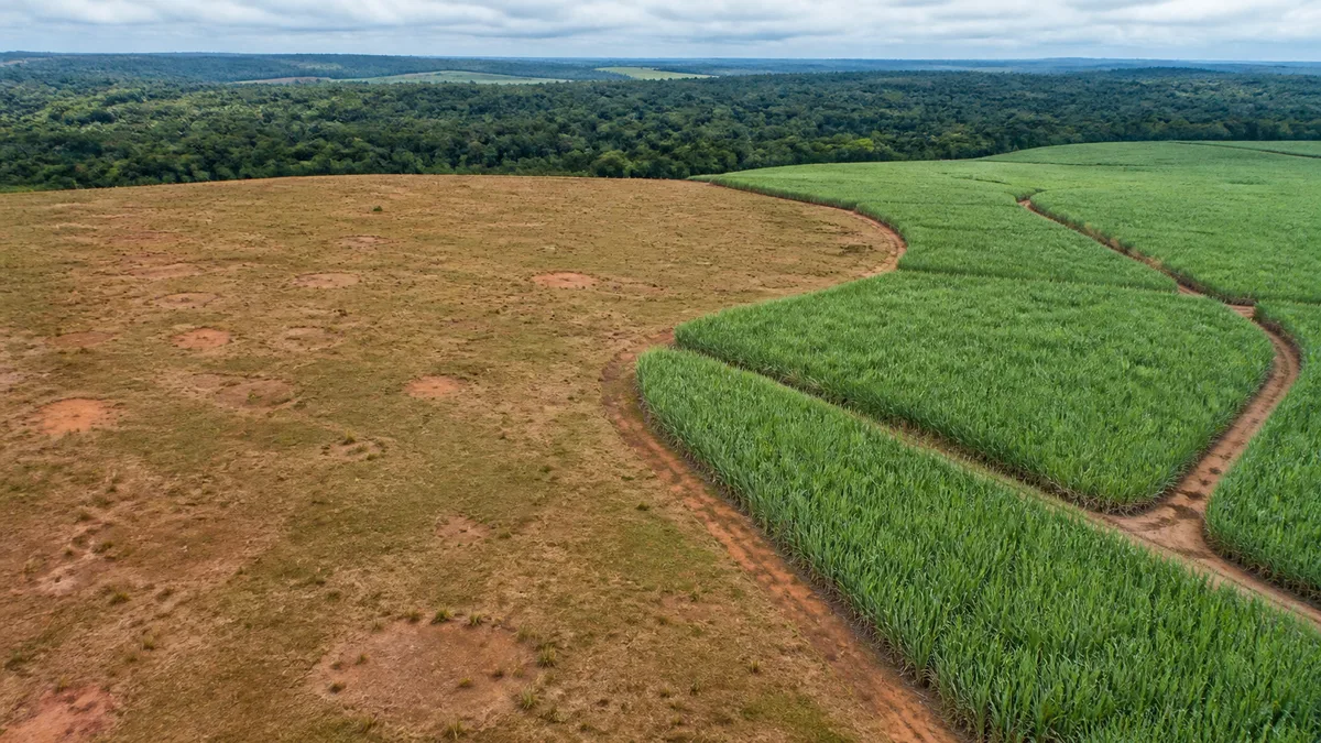 Agroterenas fecha operação de R$ 160 milhões para recuperar pastagens