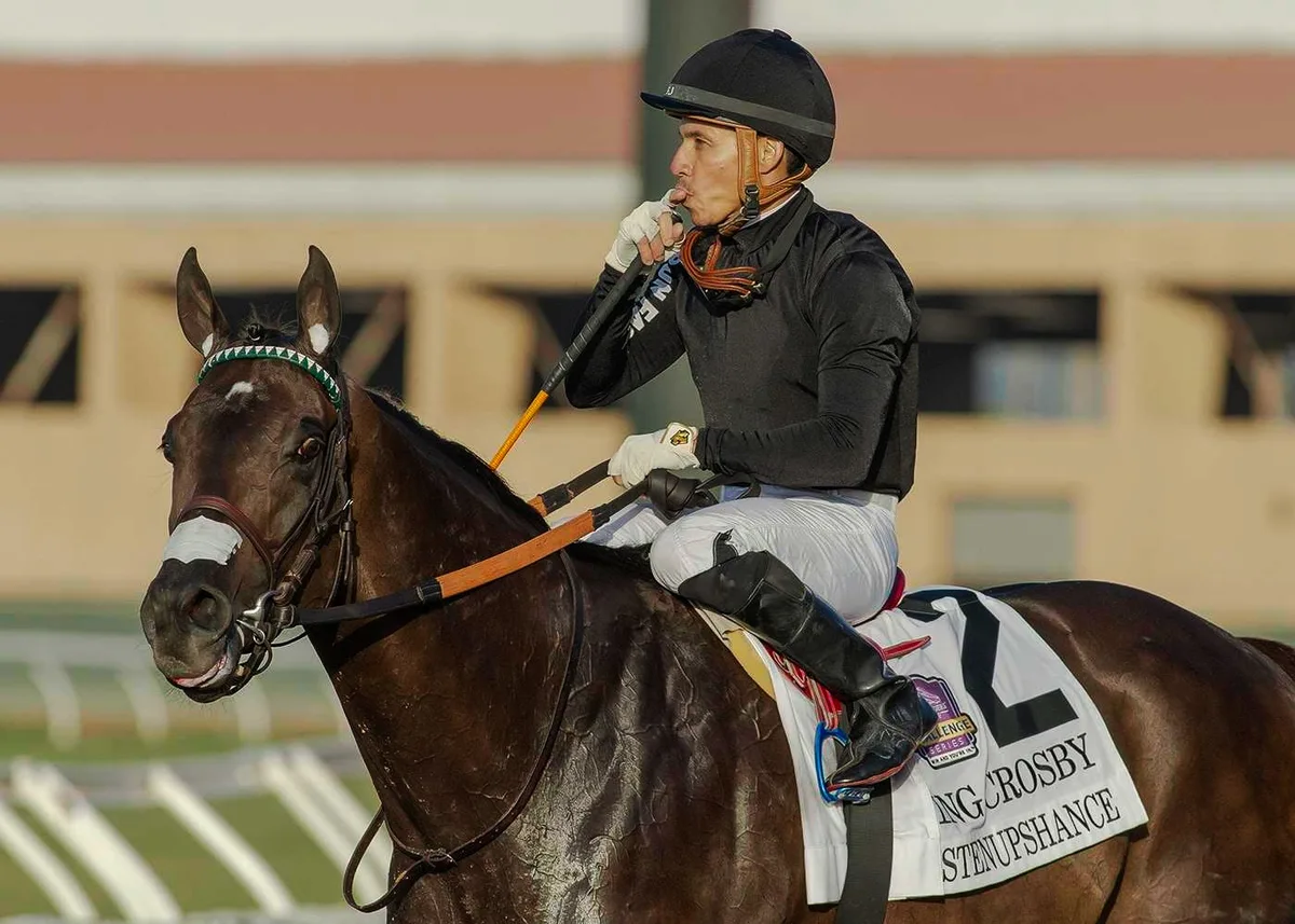 Run Fast Racing’s Listenupshance Has Puncher’s Chance In Breeders’ Cup
