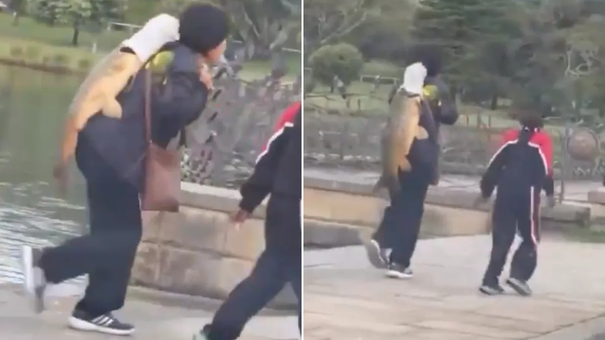 Government responds after woman catches huge fish in Sydney’s Centennial Park