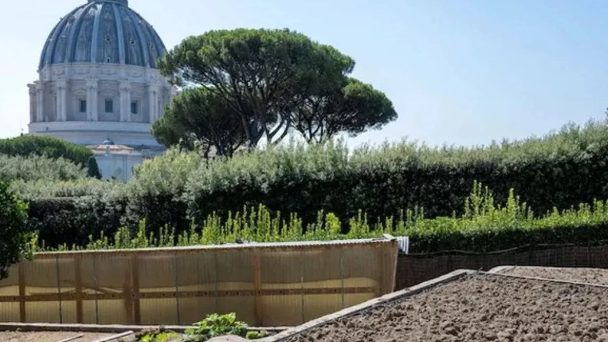 El histórico huerto del Papa en los Jardines Vaticanos se vuelve 100 % orgánico: casi 400 m² de productos de temporada y riego manual
