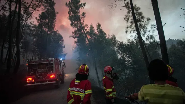 Bombeiro de Arouca submetido a cirurgia em hospital de Gaia: "Estável"