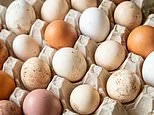 Another Briton dies in growing salmonella outbreak - almost 500 Britons now sickened by infection linked to imported eggs