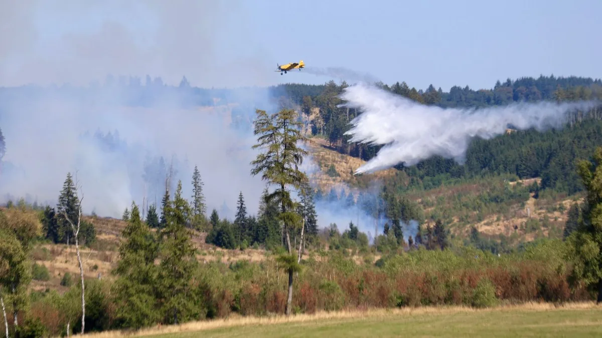 Auch Löschflugzeug im Einsatz: 58 Wald- und Vegetationsbrände seit Saisonbeginn gemeldet