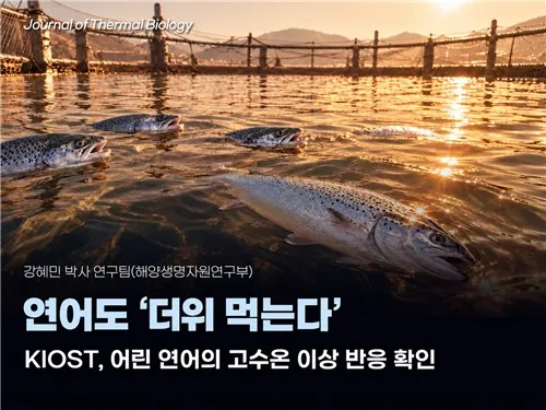 연어도 더위 먹는다…18도에 성장 멈추고 26도에 폐사하기도