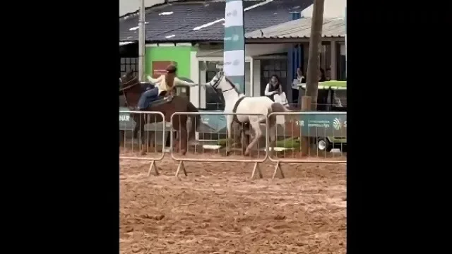 Cavalo fica descontrolado em evento e é travado por menina de... 12 anos