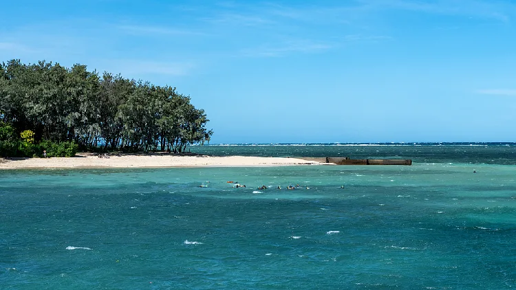 Scientists urge local approach to ocean carbon removal