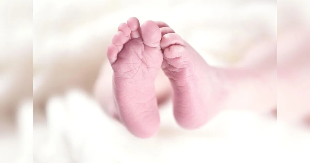 Corpo de bebê é encontrado enterrado no quintal de casa em Ponta Grossa (PR)