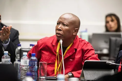 EFF says Didiza vote was ‘chaotic’ and ‘far from fair’