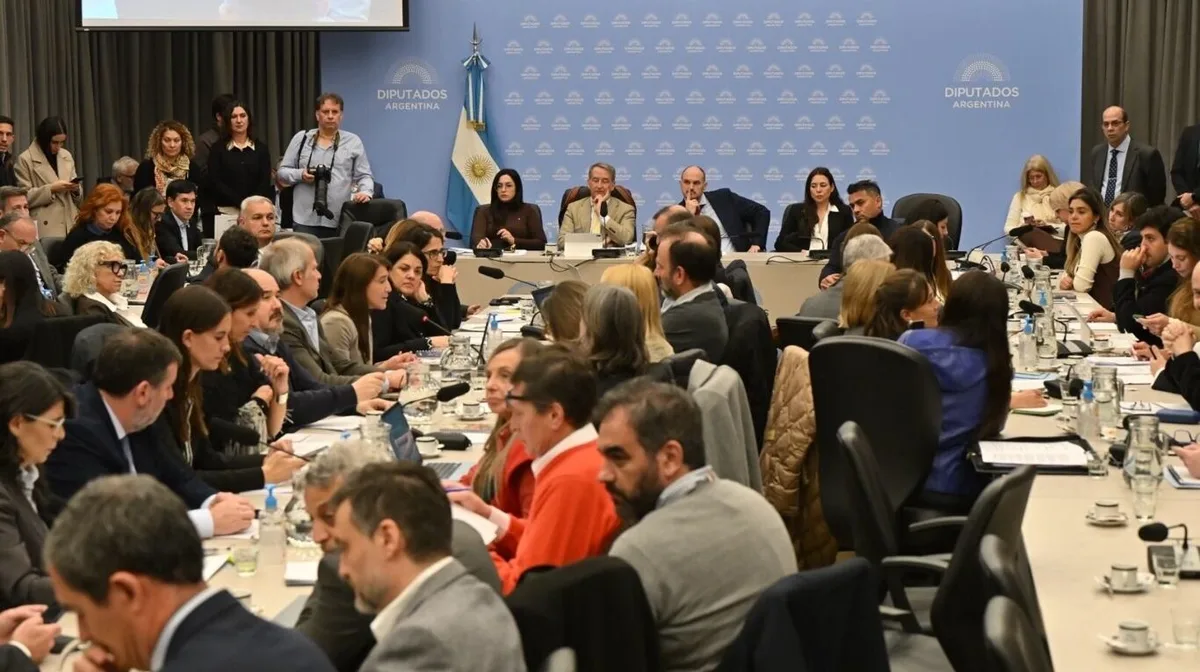LLA aceptó restituir las restricciones a la venta de tierras a extranjeros para sellar la sanción de la ley de propiedad privada