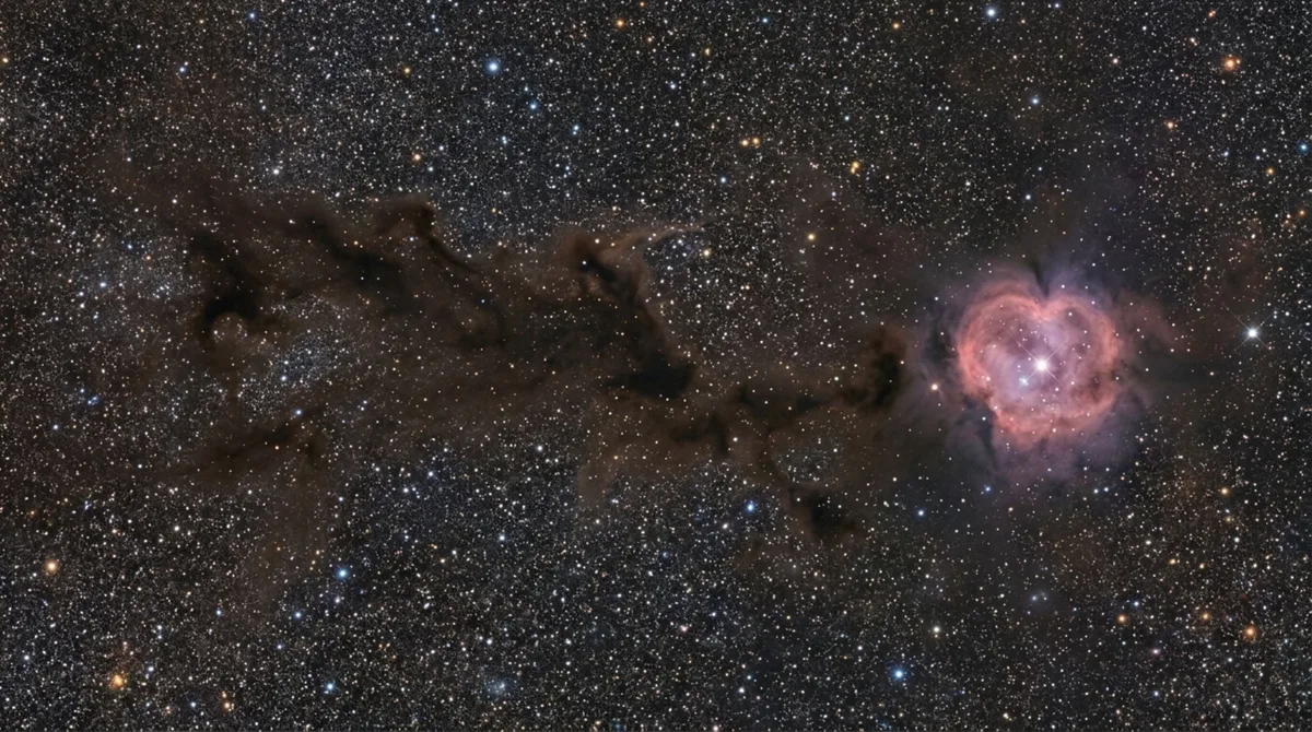 Uma nebulosa parece ter uma cauda de cometa quando vista em campo amplo: imagem mostra o Casulo perdido em meio a estrelas e poeira