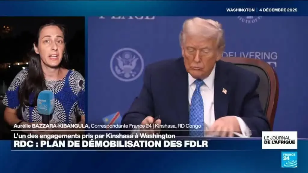 RD Congo : un protocole pour démobiliser les rebelles rwandais des FDLR