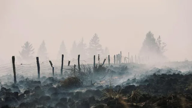 Fotografie: Bilder des Tages
