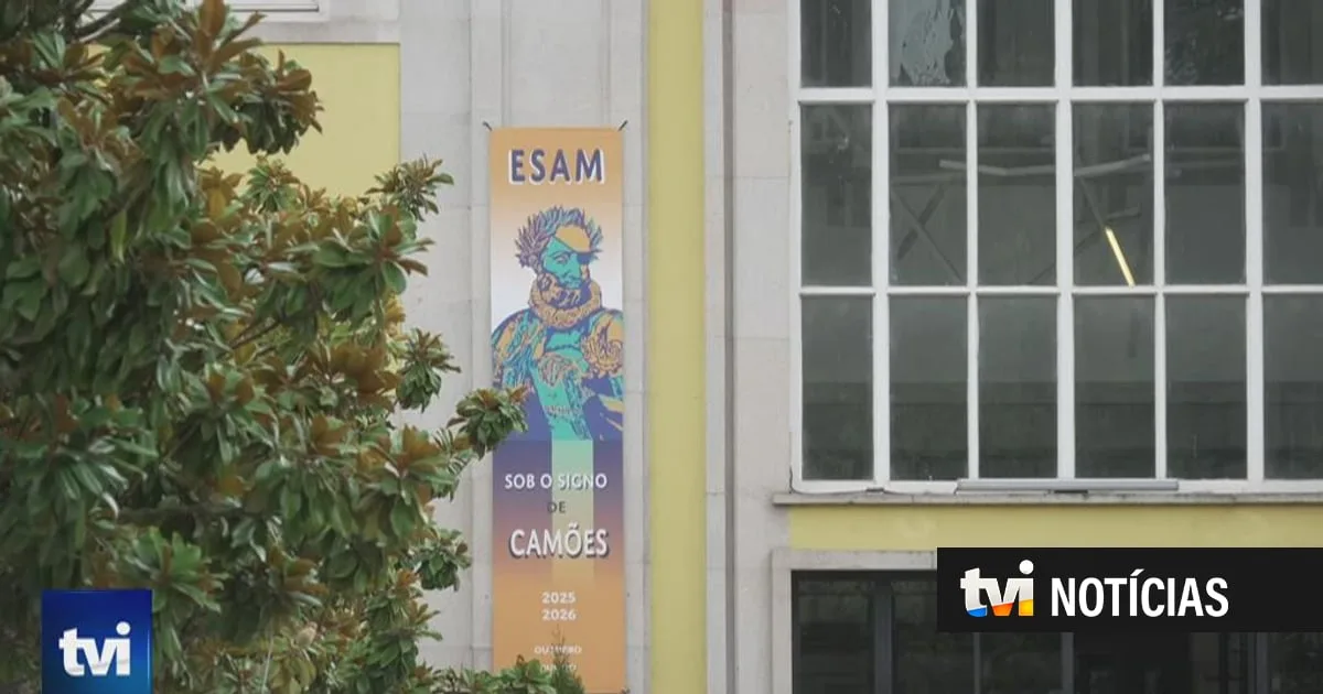 Escola de Viseu coloca mais de 30 alunos em Medicina e seis em Engenharia Aeroespacial
