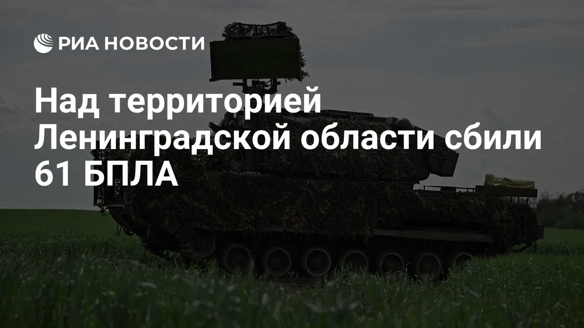 Над территорией Ленинградской области сбили 61 БПЛА