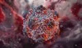 Desarrollan una terapia experimental con ARNm y anticuerpos que neutraliza variantes del SARS-CoV-2 en ratones