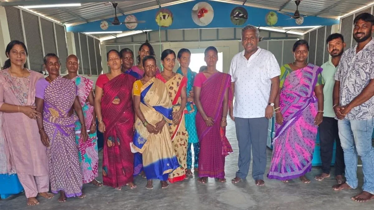 Tribal women from Pulicat earn ₹1 lakh from sale of farmed clownfish