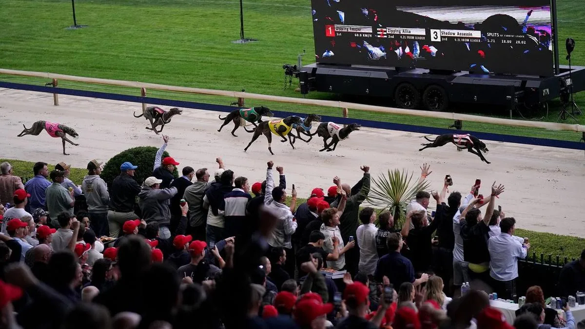 'A special buzz': fans farewell racing at dog track