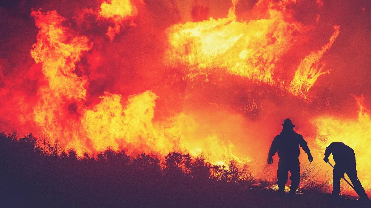 Incêndios: Área ardida quatro vezes menor este ano, mas número de fogos aumenta