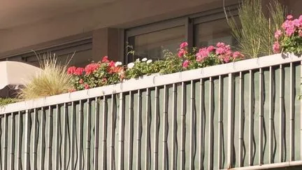 Loyers encadrés : comment certains propriétaires appliquent des compléments abusifs, et quels recours pour les locataires ?