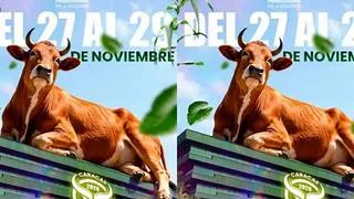 La Expoferia Ganadera y Agrícola 2026 llega a Caracas en noviembre