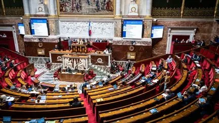 Au dernier jour d'examen de la loi "intégrale", le Rassemblement national fait tomber plusieurs mesures