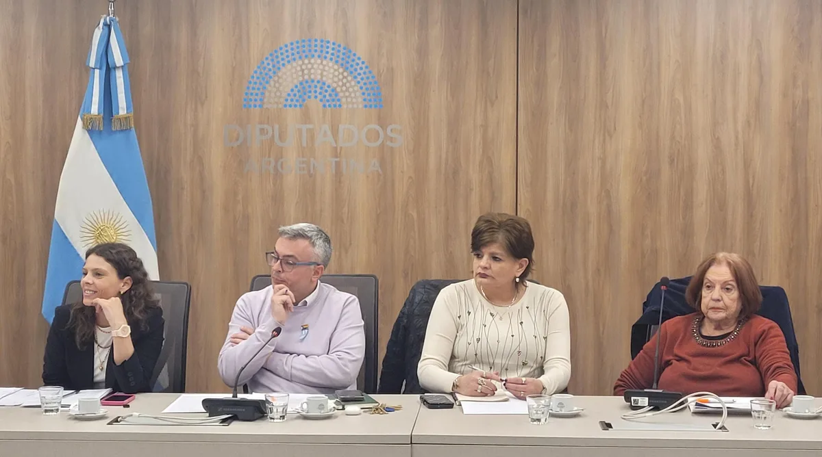 La oposición busca abrir el debate en Diputados por el endeudamiento de las familias y ya hay 35 proyectos