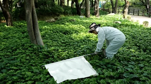 서울시, 공원·산책로 참진드기 집중 검사…SFTS 예방