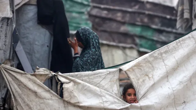 Embaixada da Palestina agradece Portugal acolhimento de crianças de Gaza