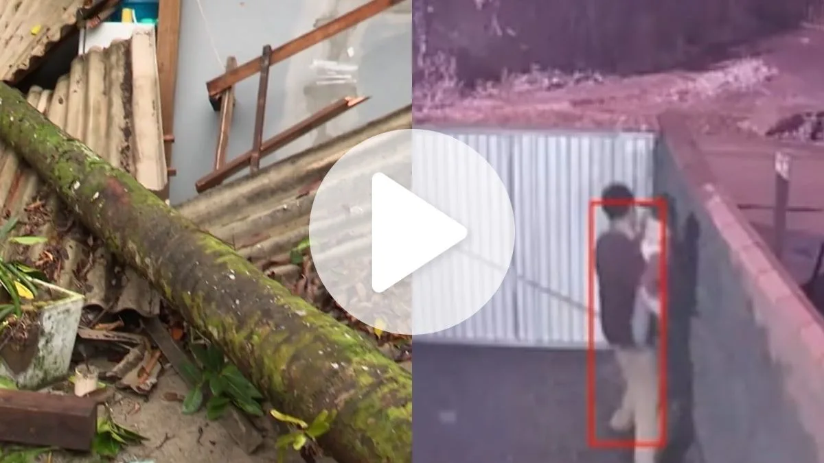 ‘Estouro muito grande’: pai, mãe e criança escapam ‘por pouco’ de queda de árvore que destruiu carro e área de casa em Blumenau