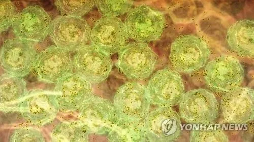[이지 사이언스] 세포노화 논문 54편에 항체 적합성 의문…한국 논문도 5편