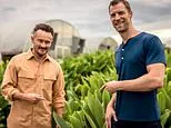 How to revitalise your heart, brain and gut: Two leading doctors explain how minimising stress and maximising your diet can reverse the damage caused by 'toxic' modern life