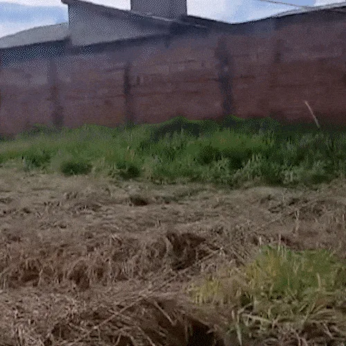 Área pública abandonada preocupa moradores da Vila São Jorge da Lagoa