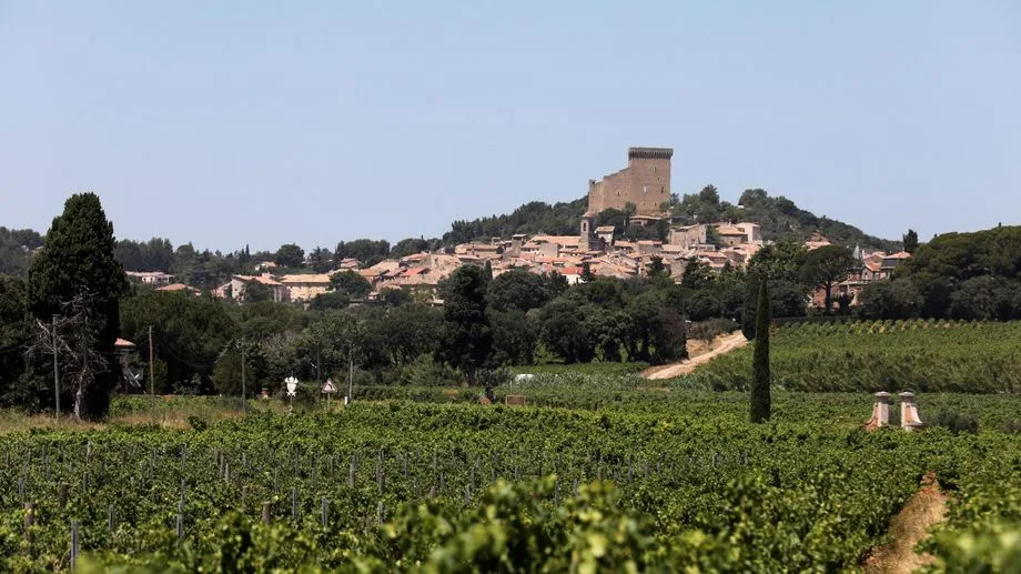 1,8 million d'euros d'avoirs criminels saisis pour du vin vendus sous une fausse appellation AOP Châteauneuf-du-pape
