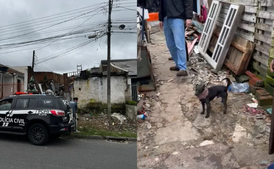 Fome e sede: 11 cães são resgatados em meio a lixo e fezes na Grande Curitiba; homem é preso