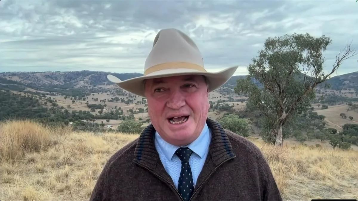 One Nation migration policy: Barnaby Joyce clarifies after David Farley sparks confusion