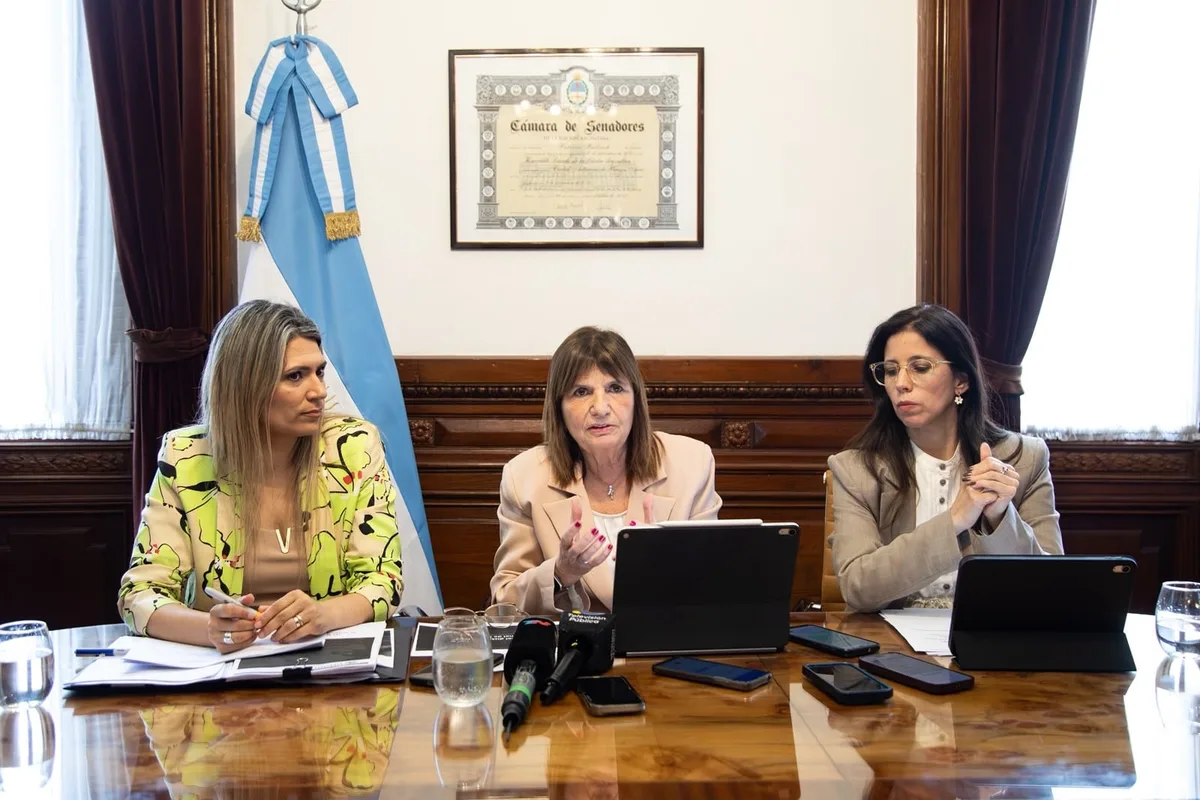 Senado: el oficialismo anunció un acuerdo para avanzar con la ley de Salud Mental