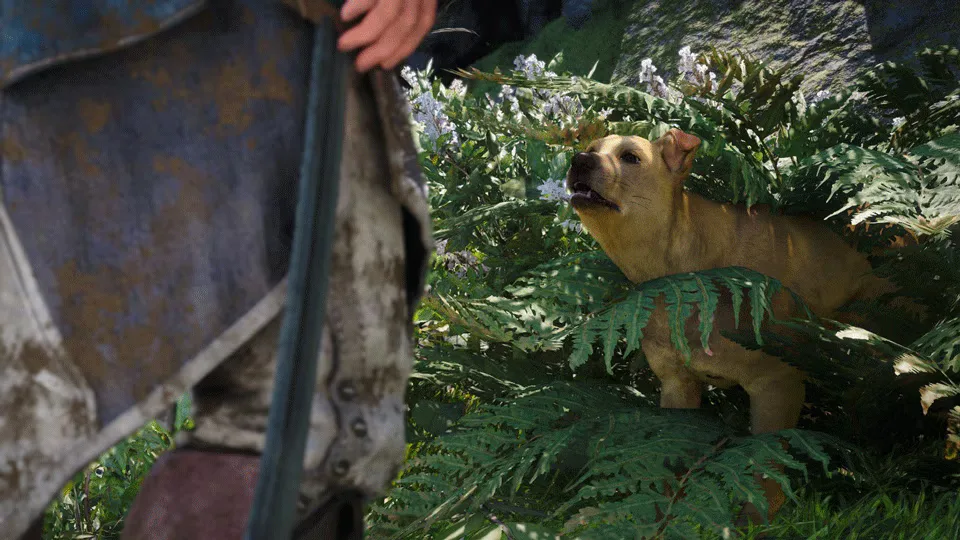 Assassin’s Creed Black Flag Resynced recebe atualização com novo animal para resgatar