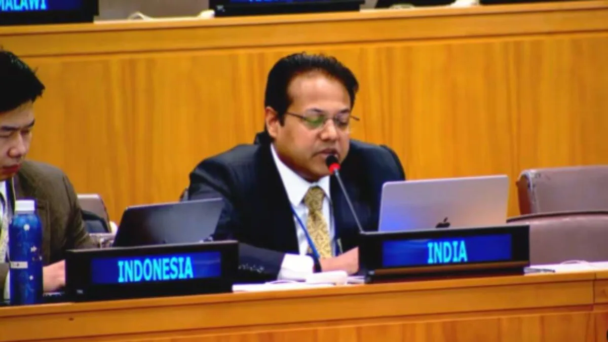 'Verify before she vilifies': India rejects UN rapporteur's claims on youth protests