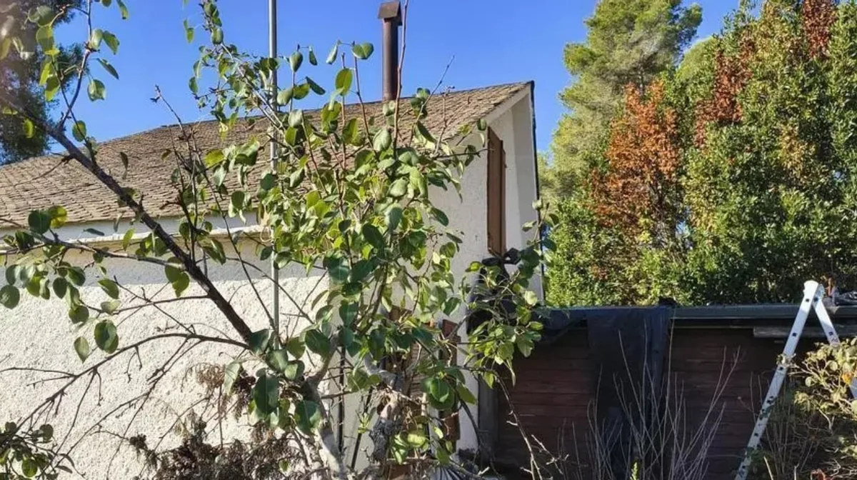 Quién era el reconocido médico que llevaba casi dos años muerto en su casa de España: su esposa y su hija convivían con el cadáver