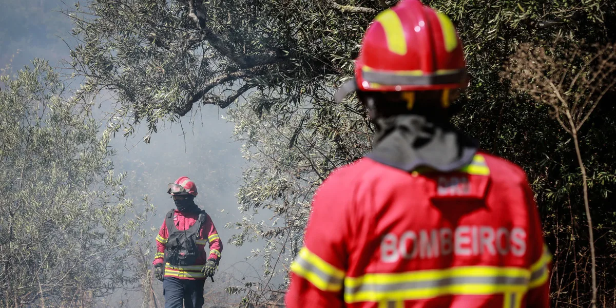 Sete concelhos em perigo máximo de incêndio. Incêndios em Boticas e Arouca continuam a mobilizar operacionais