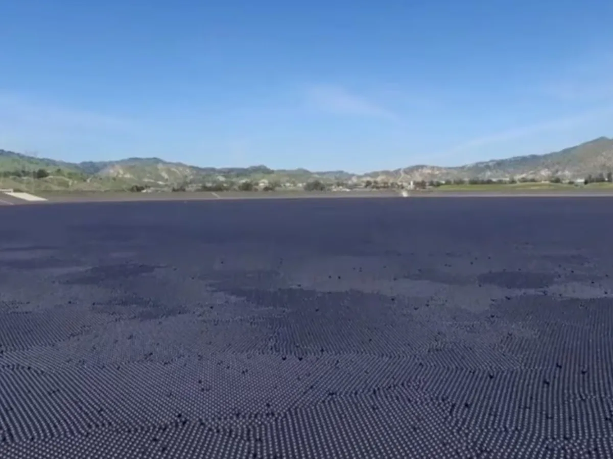 El extraño método que ayudó a Los Ángeles a conservar más de 300 millones de galones de agua al año