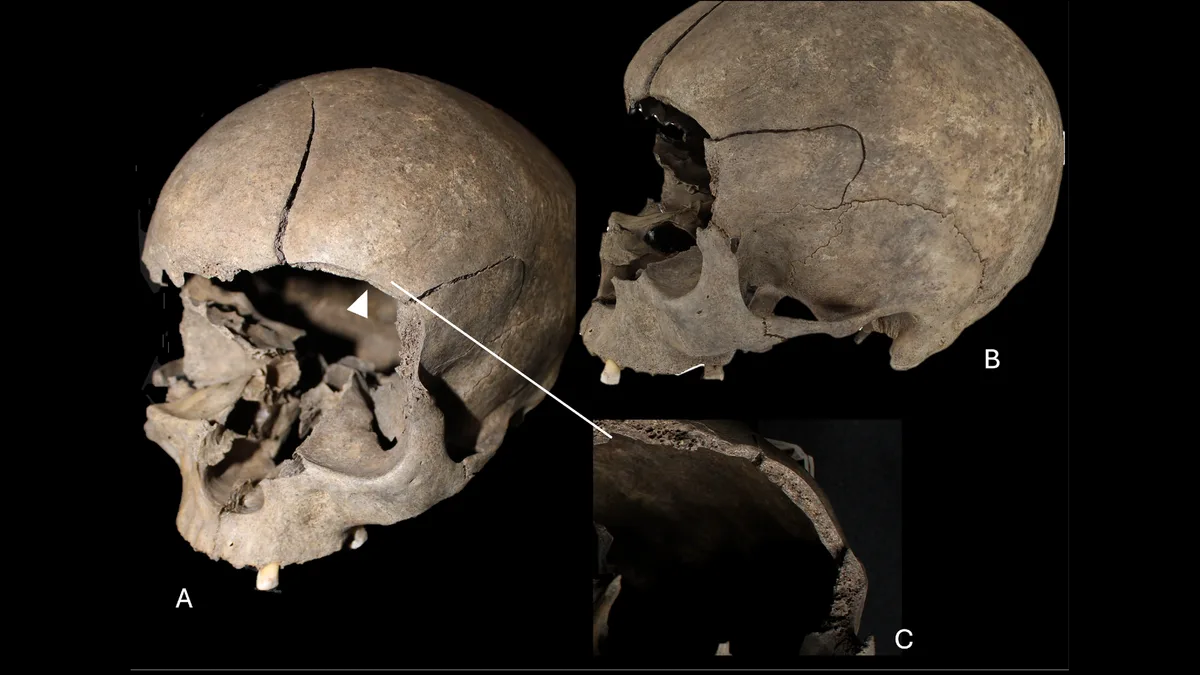 Archaeologists discover a child's skull built into the floor of a 2,500-year-old Scandinavian house