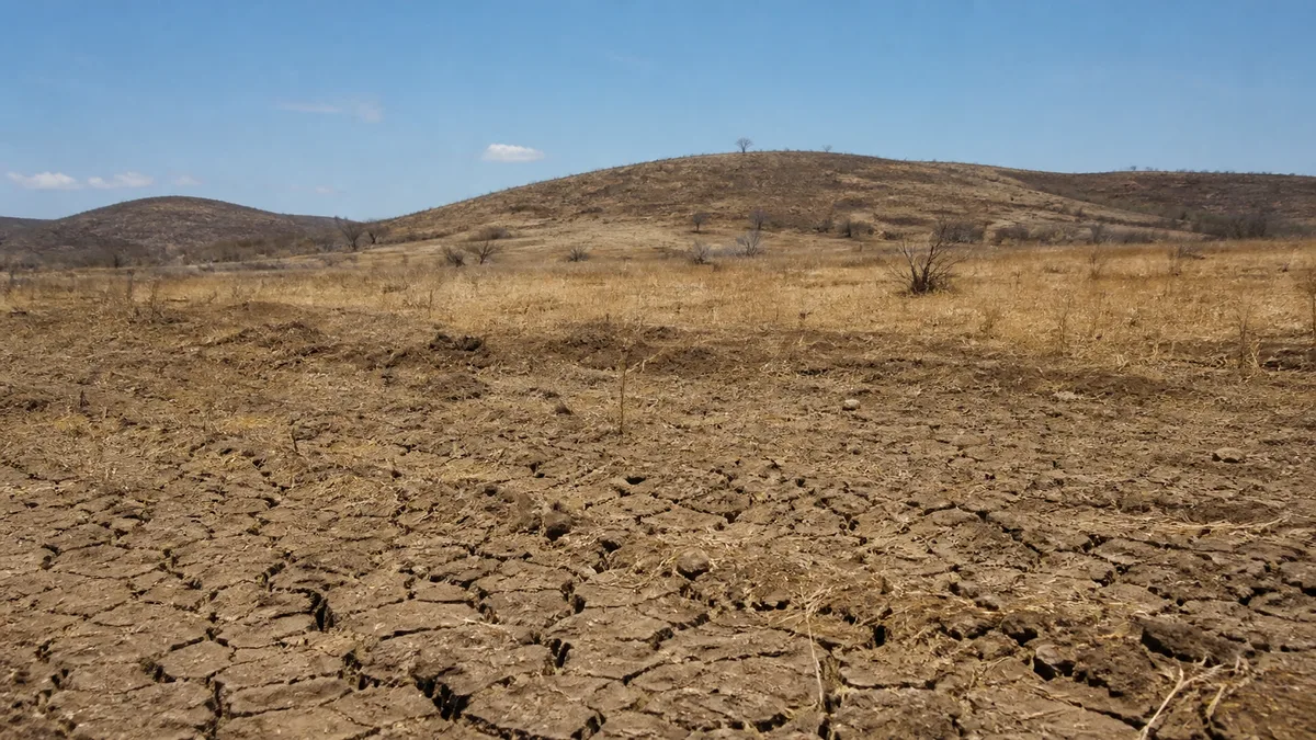 COP17 concentra negociações em financiamento para restauração do solo e combate à seca