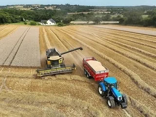 Agriculture : des récoltes de blés et d’orges en baisse mais de la qualité, selon de premières analyses